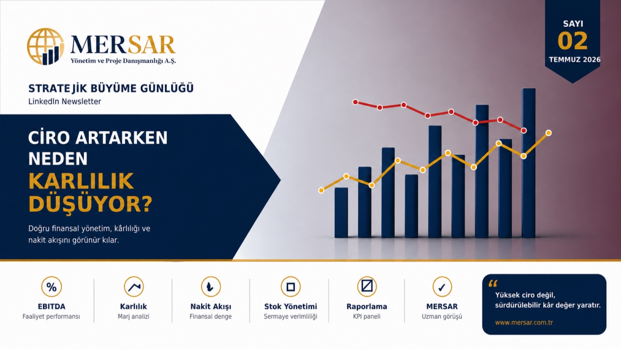Strategic Growth Journal | Issue 2: Financial Management & Profitability
